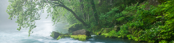 Aqua;Big Spring;Blue;Brook;Creek;Green;Healing;Health care;Healthcare;Missouri;Mist;Morning;Obscured;Ozark Mountains;Panoramic;Peaceful;River;River Bed;Riverbed;Rivers;Spring;Stream;Teal;Van Buren;Water;calm;fog;foggy;haze;misty;restful;serene;soothing;tranquil;waterway